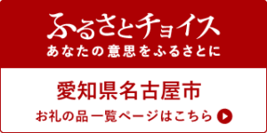 ふるさと納税 ふるさとチョイス 愛知県名古屋市